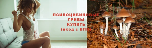 apvp Краснослободск