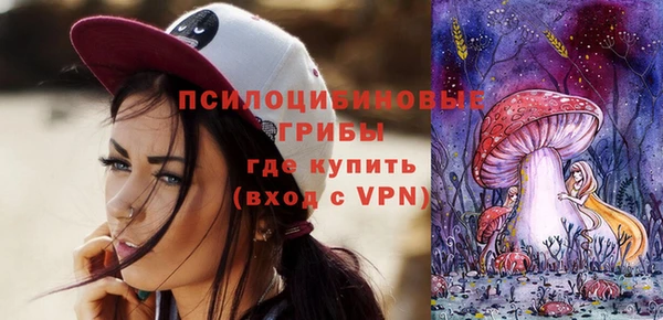 apvp Краснослободск