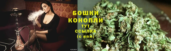 apvp Краснослободск