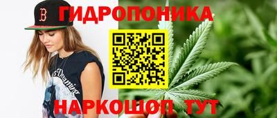 прущая мука Гусев