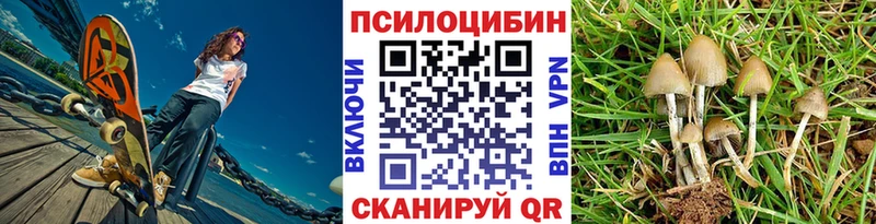 где можно купить   Назрань  Псилоцибиновые грибы MAGIC MUSHROOMS 