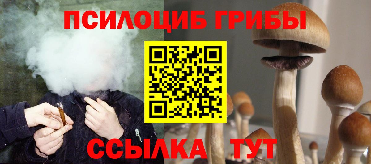 Псилоцибиновые грибы мицелий Назрань