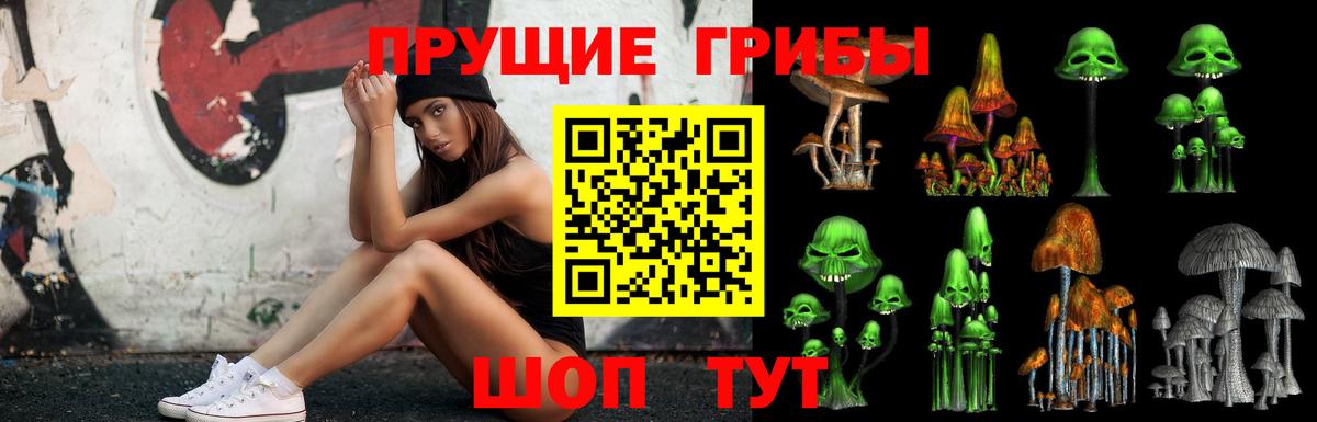 Псилоцибиновые грибы MAGIC MUSHROOMS  Вход с VPN  Назрань 